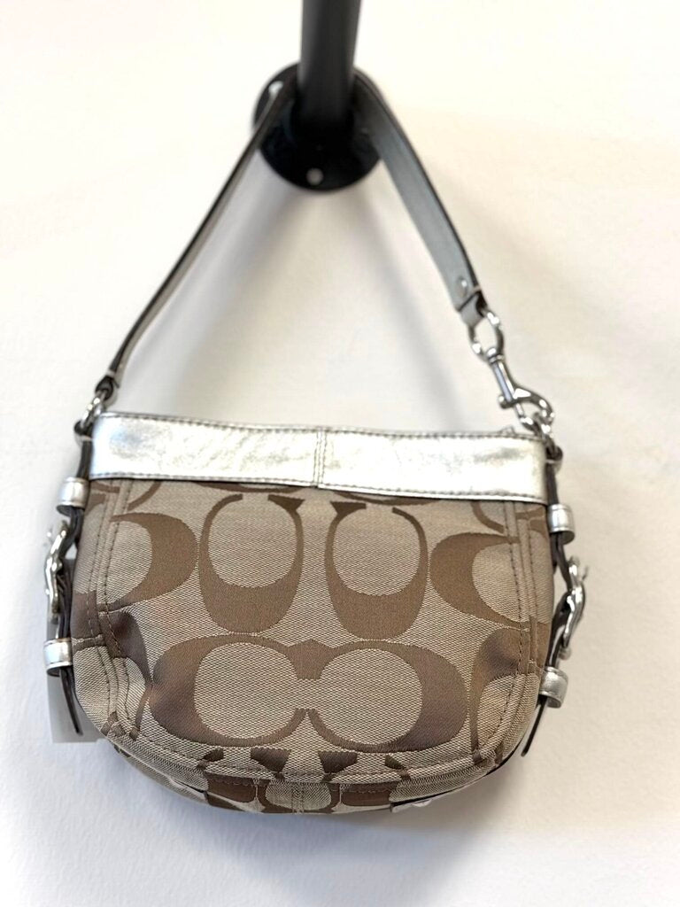 Zoe Hobo Bag