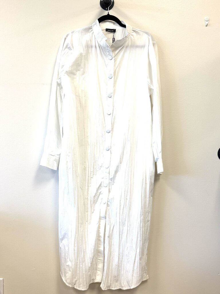 NWT ButtonDown plain